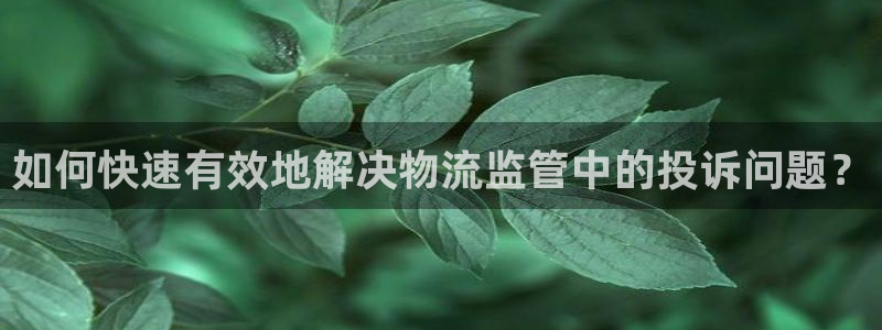 旺财28注册登录流程：如何快速有效地