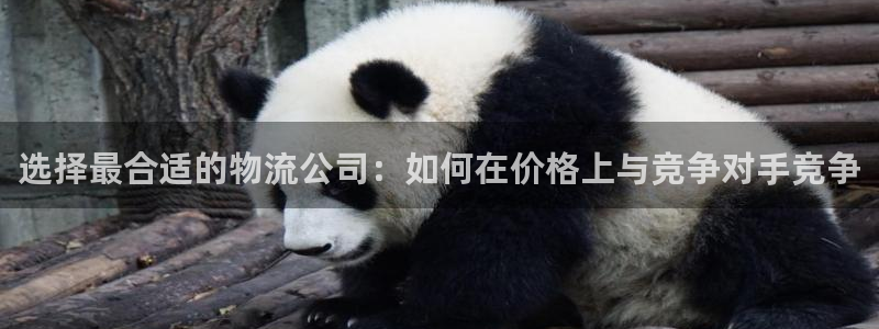 旺财28游戏官网入口：选择最合适的物