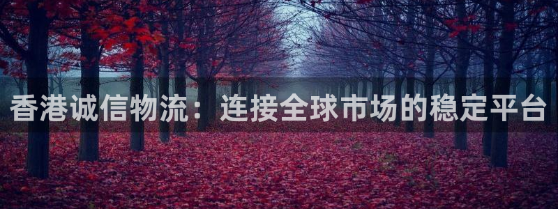 旺财28开奖预测