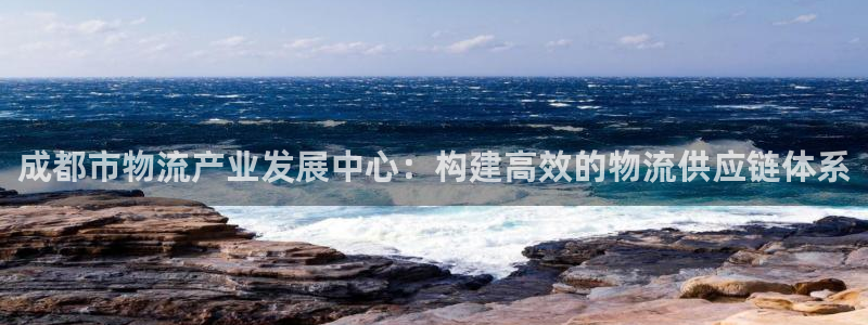 旺财28模拟器