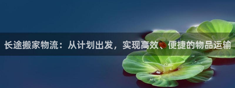 旺财28官方版正版