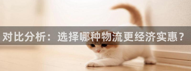 旺财28黑不黑：对比分析：选择哪种物