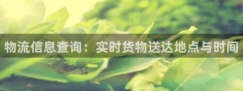 旺财28注册流程：物流信息查询：实时