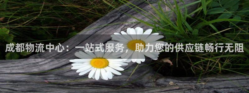 旺财28客服一直不回消息怎么办
