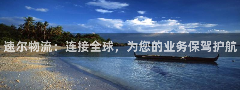 自行车旺财28是什么意思