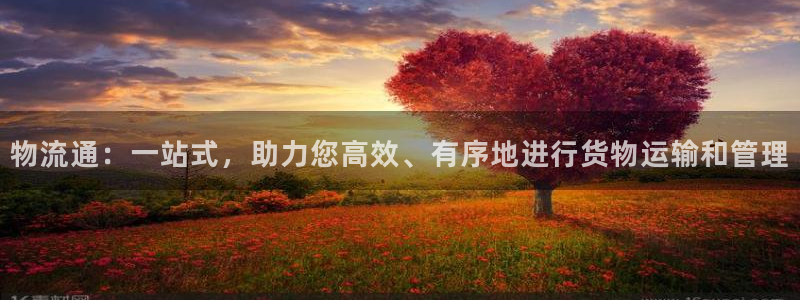 旺财28官方：物流通：一站式，助力您