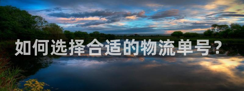 旺财28官网开奖结果预测查询：如何选