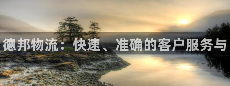 旺财28官网下载链接怎么弄：德邦物流