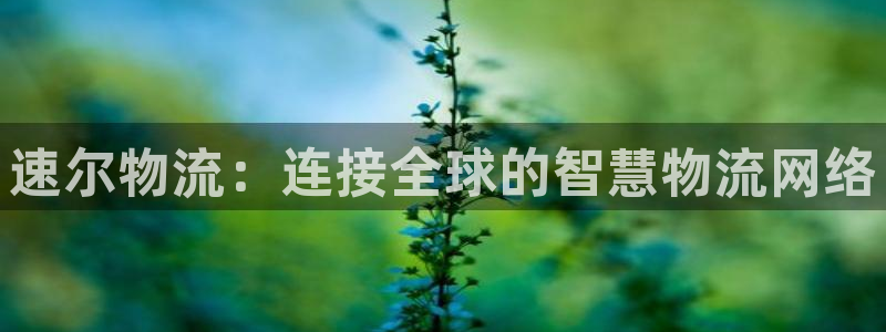 旺财28反水怎么算：速尔物流：连接全
