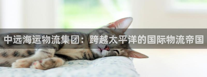 旺财28登录不上咋回事：中远海运物流