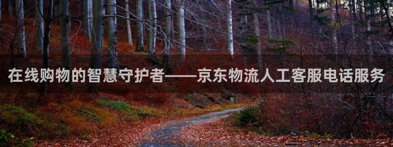 旺财28是啥：在线购物的智慧守护者—