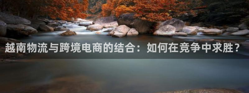 旺财28初始资金密码在哪里改：越南物