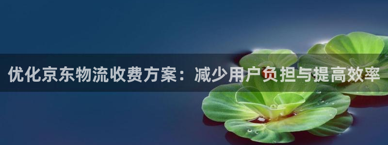 旺财28初始密码在哪里修改：优化京东
