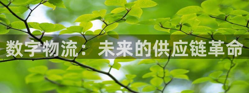 旺财28女王中奖记录查询：数字物流：