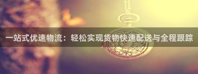 旺财28官方网站预测：一站式优速物流