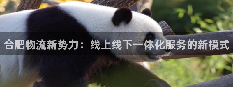 旺财28注册登录流程：合肥物流新势力