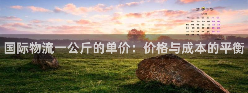 旺财28h5链接：国际物流一公斤的单