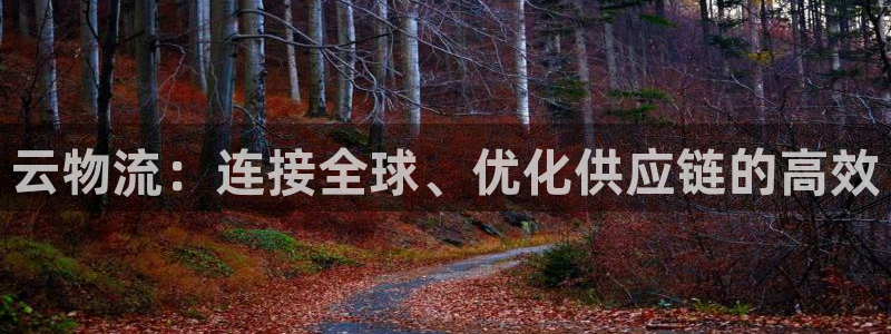 旺财28怎么注册游戏名字