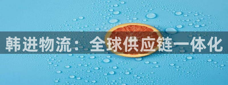 旺财28相信品牌的力量:韩进物流:全