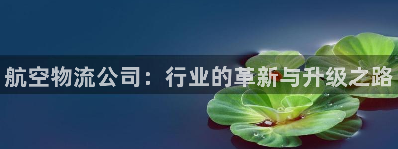 旺财28加拿大开奖：航空物流公司：行