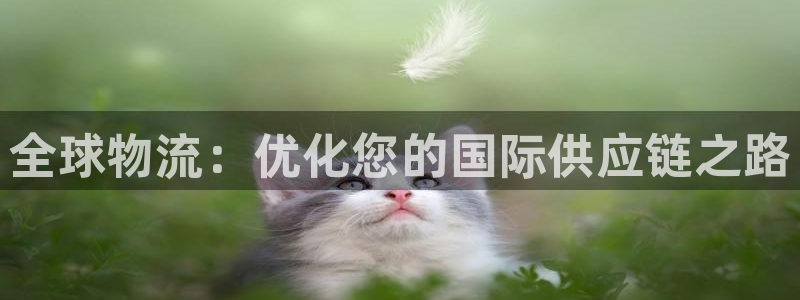 旺财28模拟器在线玩：全球物流：优化