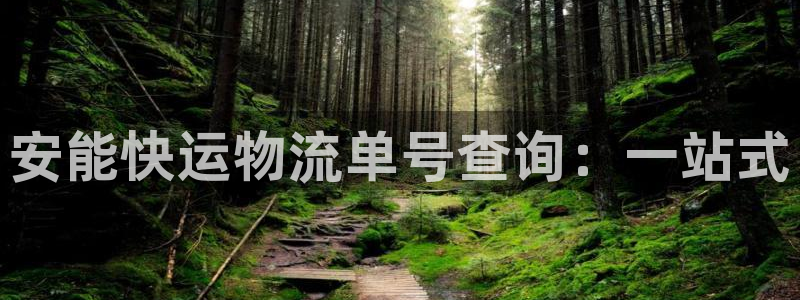 旺财28初始密码在哪里修改：安能快运