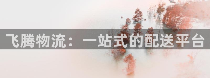 旺财28充值不到账怎么回事：飞腾物流