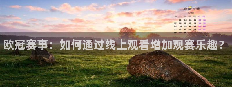 nbajrkan直播：欧冠赛事：如何通过线上观看增加观赛乐趣？